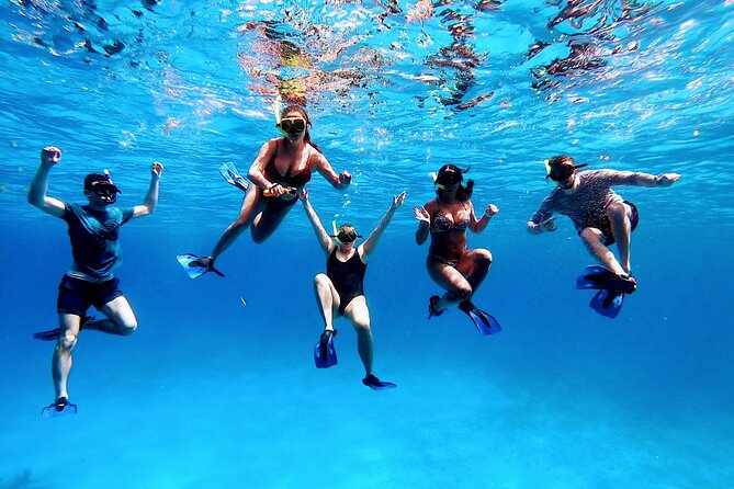 El Cielo Cozumel Snorkeling tour by Private Boat - Palancar Reef and Columbia Reef: the next level of reef life
