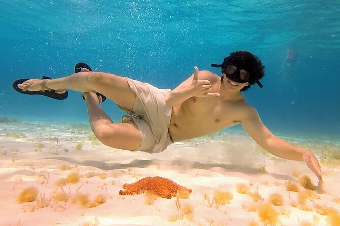 El Cielo Cozumel Snorkeling tour by Private Boat - Chankanaab Adventure Beach Park and the Chankanaab Reef combo