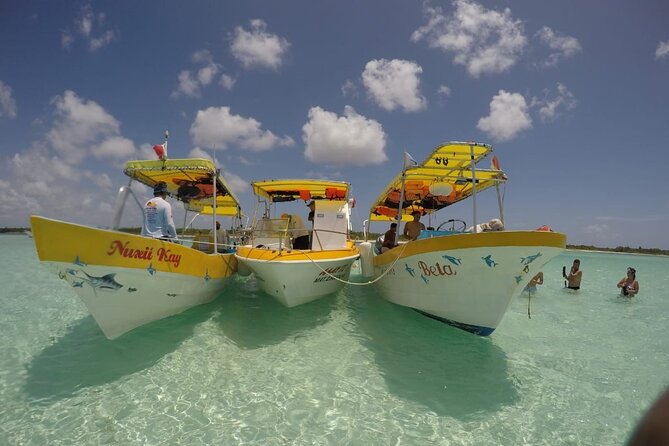 El Cielo Cozumel Snorkeling tour by Private Boat - Marina logistics: getting to the water without wasting your day