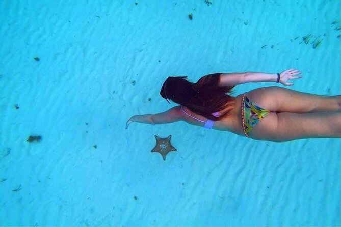 El Cielo Cozumel Snorkeling trip by Catamaran - Half-day pacing from Marina Cozumel ASIPONAC: what the timing really means