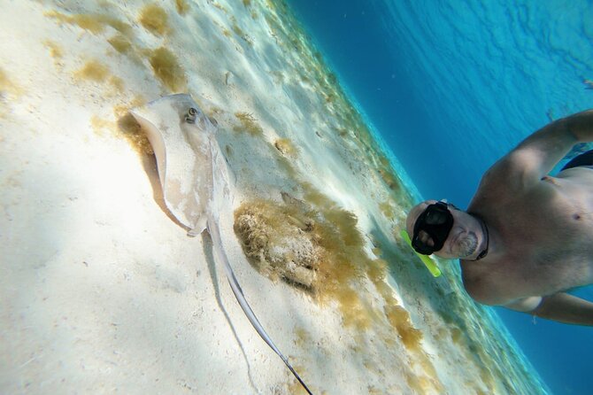 El Cielo Cozumel Snorkeling trip by Catamaran - Boat comfort, crew energy, and why your group size matters