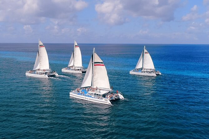 El Cielo, Palancar Snorkel & Beach Party Experience - Logistics That Can Save Your Trip (Meet Point, ID, Weather)
