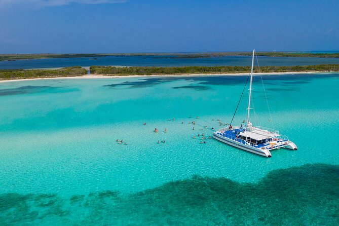 El Cielo, Palancar Snorkel & Beach Party Experience - Snorkel at El Cielo and Palancar: What You’ll Notice in the Water