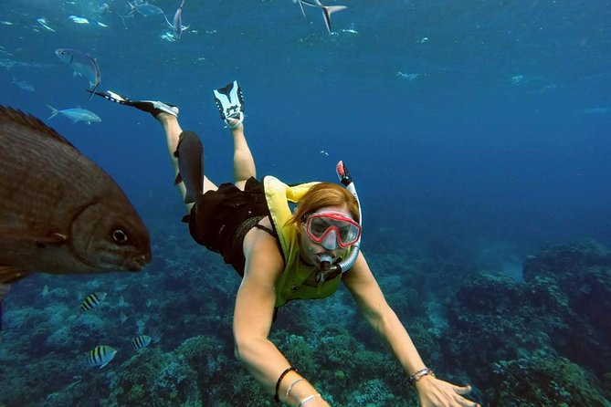 El Cielo Snorkel by Private Boat - Snorkel Gear, Crew Support, and Photo Time