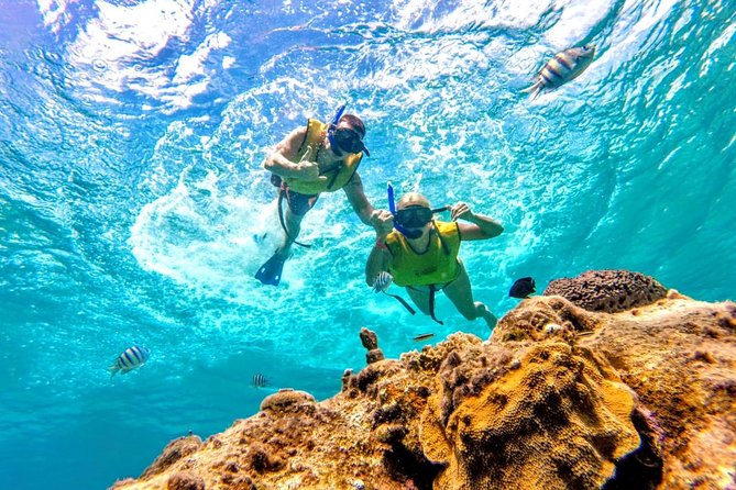 El Cielo Snorkel by Private Boat - Reef Rules and What to Wear: No Sunscreen Allowed
