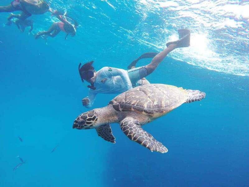 From Cozumel: 3 Reefs Boat Tour with Drinks and Snorkeling - Key things I’d bet on