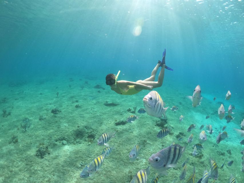 From Cozumel: 3 Reefs Boat Tour with Drinks and Snorkeling - Stop 3: Playa el Cielo reef—clear water, white sand, and stingrays nearby