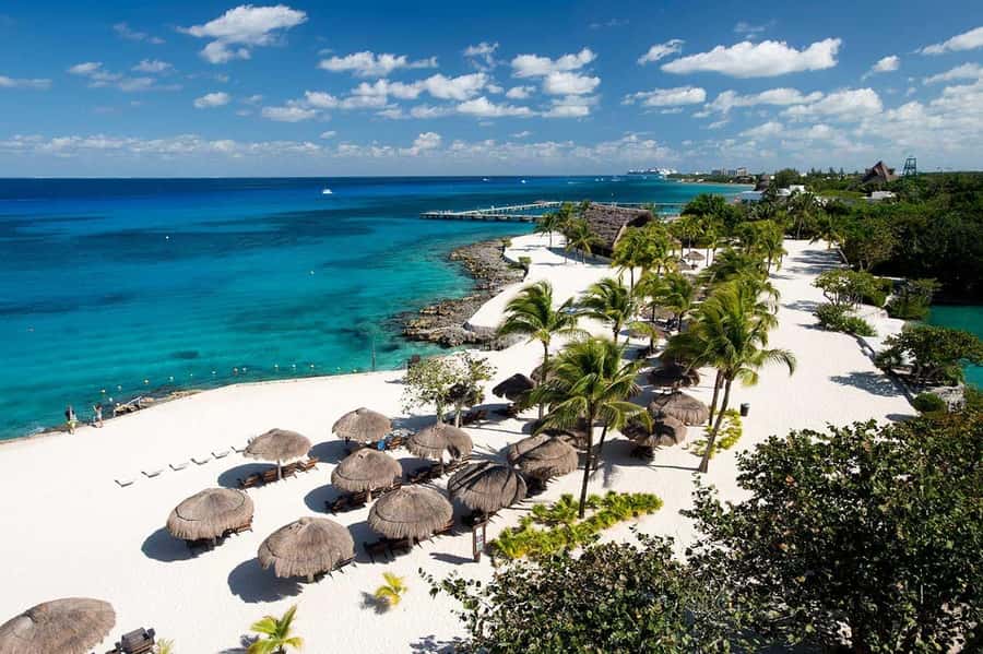 From Cozumel: Chankanaab Park Day pass with Open Bar & Lunch - Snorkeling on a major reef barrier: what you’re actually paying for