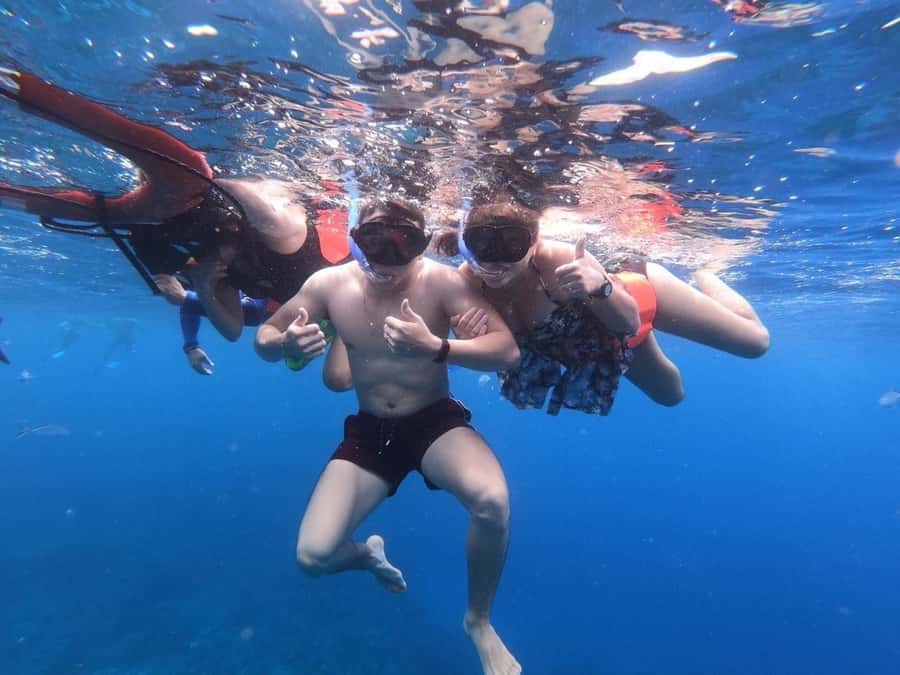 From Cozumel: Starfish, Stingrays and the Turtle Sanctuary - El Cielo’s sandy bottom: starfish spotting without the reef maze