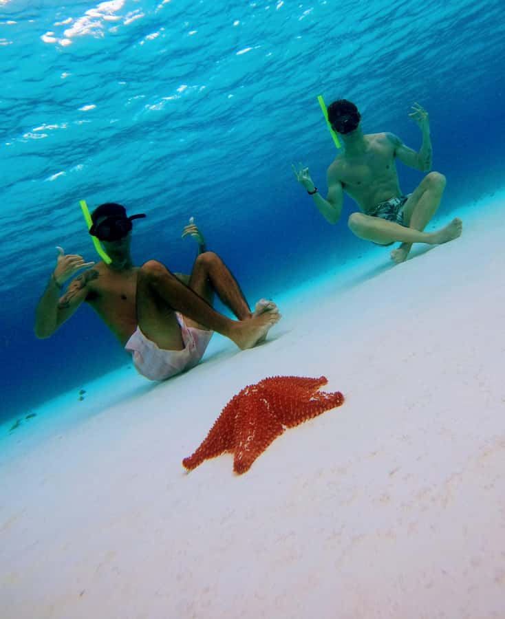 From Cozumel: Starfish, Stingrays and the Turtle Sanctuary - El Cielito Beach and stingrays: the shallow-water rules