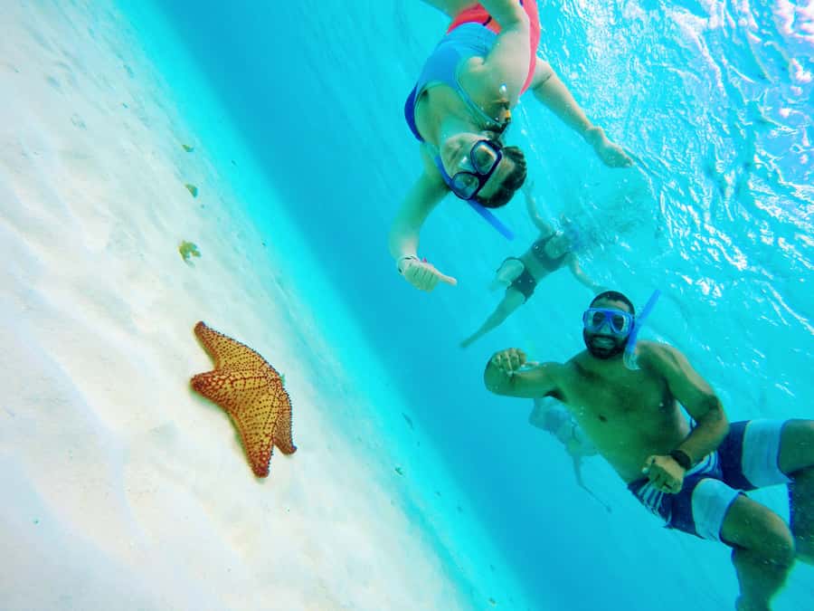 From Cozumel: Starfish, Stingrays and the Turtle Sanctuary - Marina Asipona start: getting in fast, then getting wet