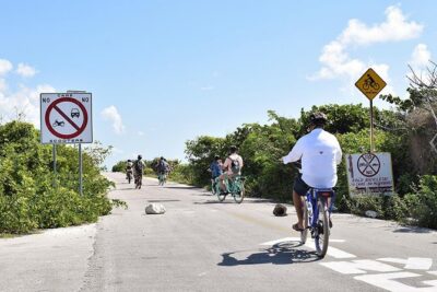Half-Day Electric Bike Tour of Cozumel's East Side With Lunch - From Beach Bum Cozumel to Punta Sur: How the Day Flows