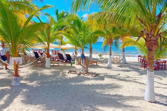 Half-Day Island Tour with Mayan Experience & Beach Break - Cozumel Downtown Walking: Centennial Clock, Shops, and a Quick Taste of Local History