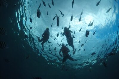 Invisible Boat Snorkeling Tour - The On-Water Experience: What the Boat Ride Feels Like