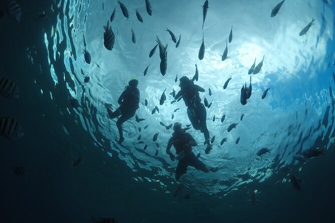 Invisible Boat Snorkeling Tour - The On-Water Experience: What the Boat Ride Feels Like