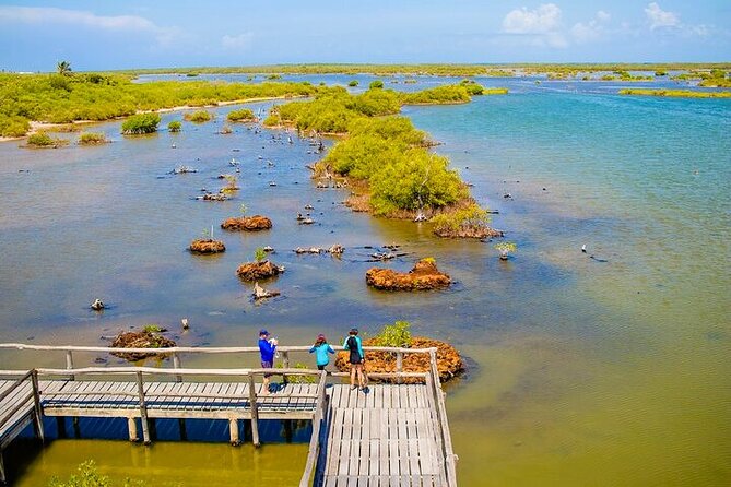 Jeep Safari All Inclusive Private Tour - El Mirador and Playa San Martín: The East Side for Photos and Quiet Water