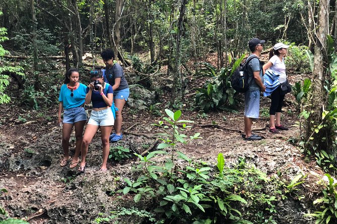 Jungle Jeep Adventure to Mayan Caves, Cenote and Snorkel - Dzul Ha Reef snorkeling in the Parque Nacional Arrecifes de Cozumel