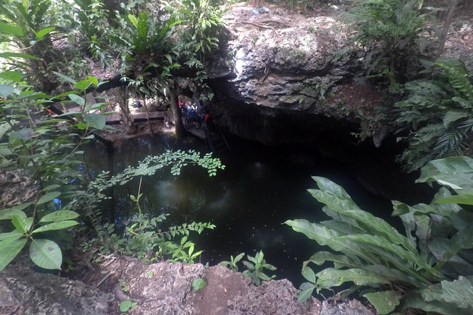 Jungle Jeep Adventure to Mayan Caves, Cenote and Snorkel - Price and value: is $65 really a good deal?