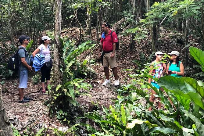 Jungle Jeep Adventure to Mayan Caves, Cenote and Snorkel - Cenote Aerolito de Paraiso and Jade Caverns: where the water energy happens