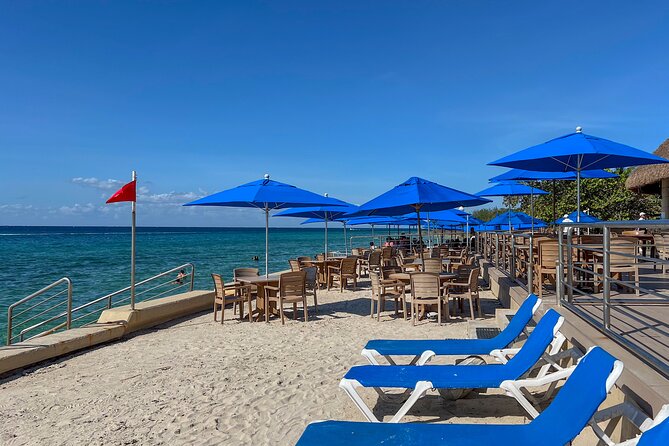 Money Bar Day Pass with Snorkel & Mexican Lunch - Lunch with Caribbean views: why this pass beats the cheap options
