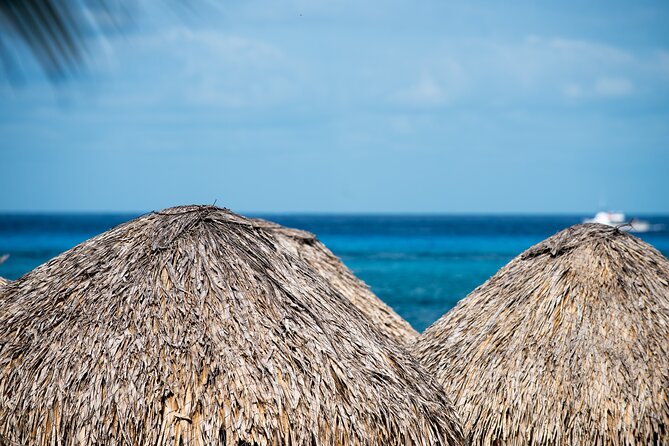 Mr. Sanchos Beach Club All-Inclusive Day Pass - Open bar drinks: what is included, and what isn’t