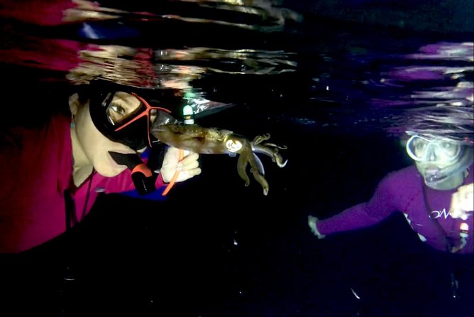 Night Snorkeling - Observation of octopus and other species - Price and value: is $77.67 a fair deal?