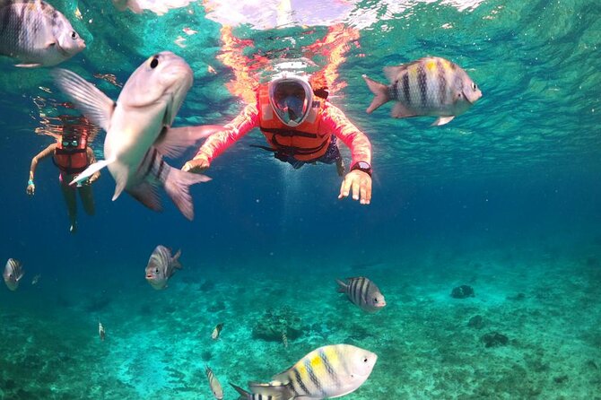 Official Chankanaab Park Day pass and Snorkel with Lunch included - Chankanaab Day Pass: How This Packs 1 Big Reef Day