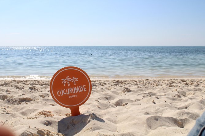 Official Chankanaab Park Day pass and Snorkel with Lunch included - Lunch by the Shore: What’s Included, What Might Feel Limited