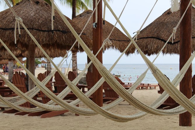 Official Chankanaab Park Day pass and Snorkel with Lunch included - Tequila Tasting and Sea Lion Timing: Small Add-Ons That Change the Mood