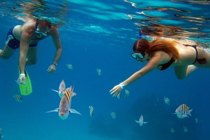 Official Chankanaab Park Day pass and Snorkel with Lunch included - Price and Logistics: The Marine Fee and the Real Meaning of All-Inclusive