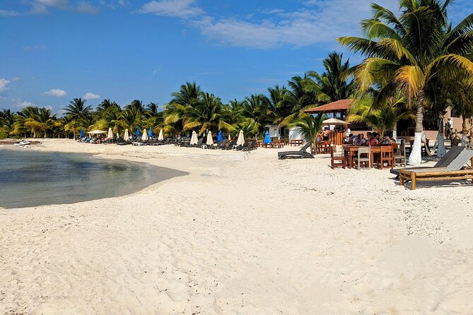 Open Top City Tour & Beach Break - First Stop: San Miguel de Cozumel by Open-Top Bus