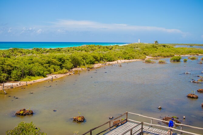 Private Buggy Tour and Punta Sur Park: All-Inclusive - Coco’s Beach Club: lunch, snorkel gear, and real relaxation time