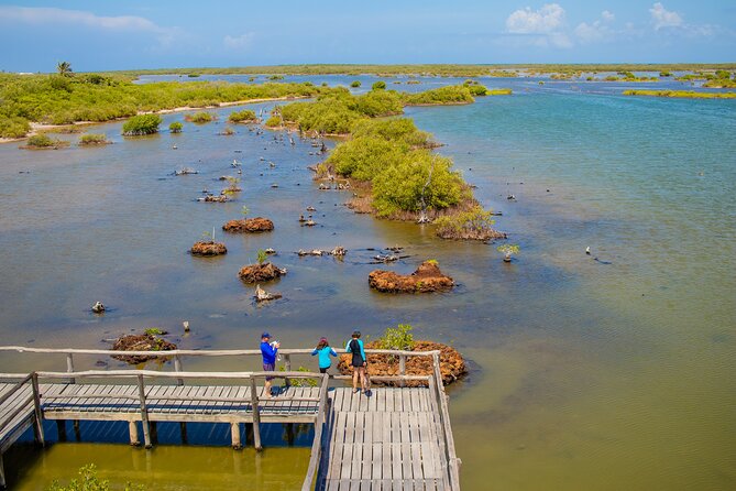 Private Buggy Tour and Punta Sur Park: All-Inclusive - Value check: why $89.99 can work out (or not)
