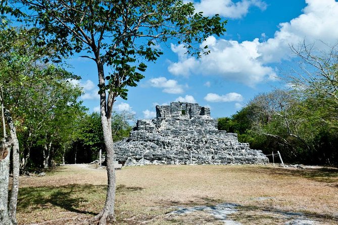 Private Island Tour at Your Leisure - Price and Value for a Private Cozumel Half-Day
