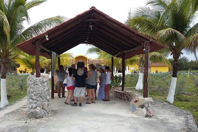 Private Jeep Excursion in Cozumel with Lunch and Snorkeling - Stop 5: Mercado Municipal for Local Bites and People-Watching