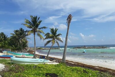 Private Jeep Tour in Cozumel - Beach time + snorkeling: how to get the most from Punta Sur