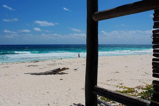 Private Jeep Tour in Cozumel - Price and value: what $191.17 per person really buys