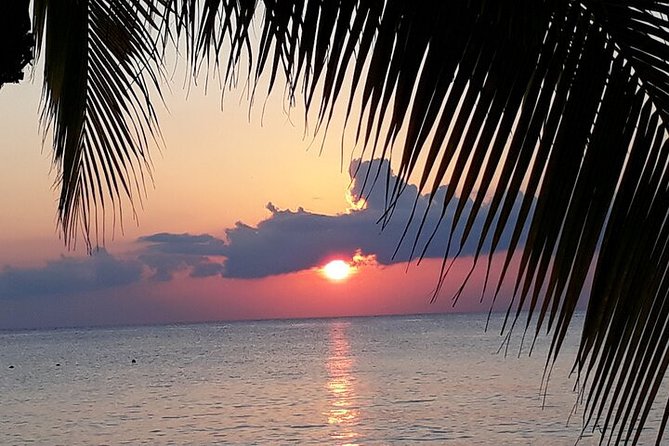 Private Jeep Tour in Cozumel - Who should book this private Jeep tour