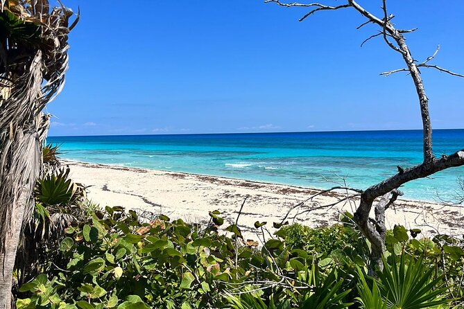 Private Mayan Ruins Tour with Cenote/caves and Mexican Picnic - El Mirador viewpoint: Caribbean Sea photos and easy browsing