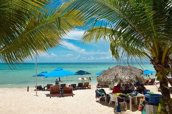 Private Tour: 5-Hour Cozumel Sightseeing with Private Driver and Tequila Tasting - Mi Mexico Lindo Tequila Tour and the Melipona Bee Detail