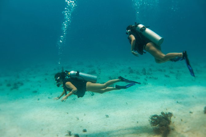 Scuba Diving in Cozumel Island - Cozumel’s Reef: Why This Island Is a Top Choice