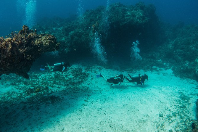 Scuba Diving in Cozumel Island - If You’re Not Certified Yet: The $40 Extra Charge