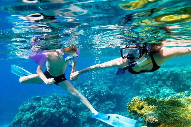 SkyReef Cozumel Snorkel & Tequila Tasting - Tequila Tasting: A Fun Lesson with Optional Costs to Watch