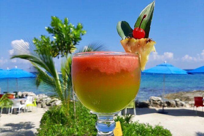 SkyReef Cozumel Snorkel & Tequila Tasting - Food, Service, and the Small-Group Feel (Max 15)
