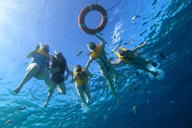 Snorkel along the coast, explore two reefs by Chivis del Mar - Value and vibe: why Chivis del Mar is a smart Cozumel pick