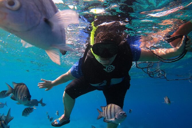 Snorkel along the coast, explore two reefs by Chivis del Mar - Where the boat docks: Marina Caleta logistics you should know