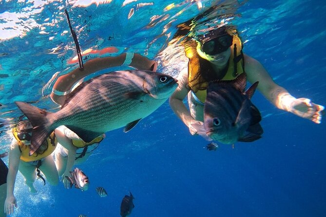 Snorkel along the coast, explore two reefs by Chivis del Mar - Who this snorkeling trip suits best
