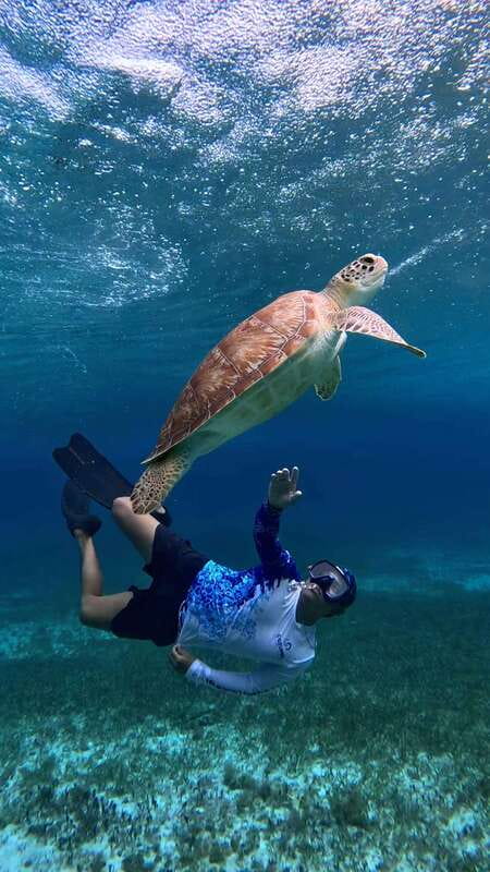 The Cozumel Turtle Sanctuary Snorkel Tour - What to pack (and what not to)