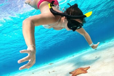 The Cozumel Turtle Sanctuary Snorkel Tour - The 4-hour itinerary: Colombia Reef, Palancar Reef, El Cielo, and El Cielito