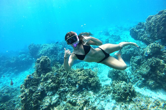 The Cozumel Turtle Sanctuary Snorkel Tour - Included gear, drinks, and snacks: the value math
